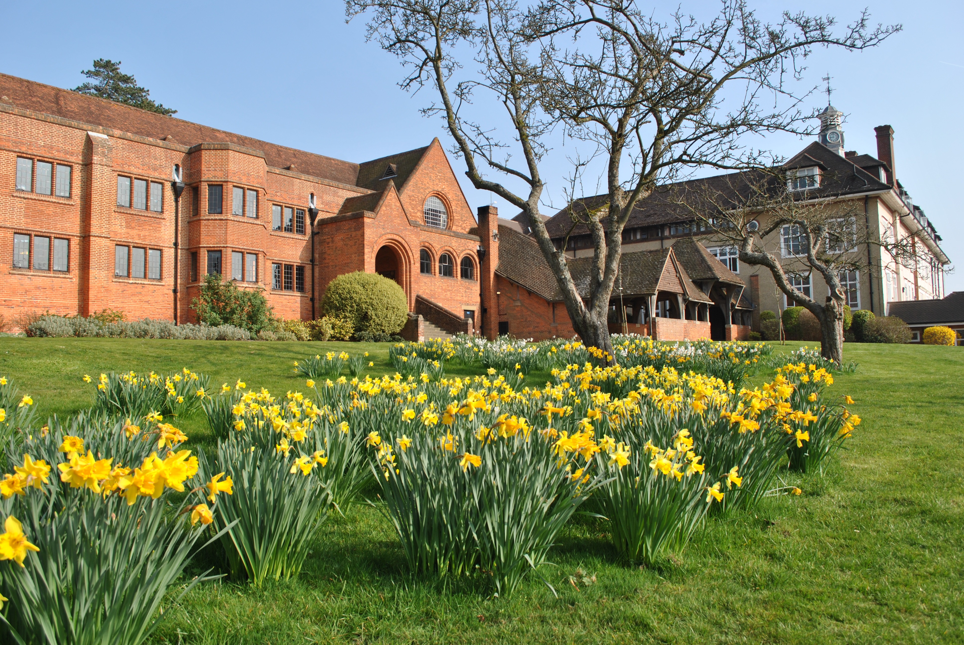 Bedales School