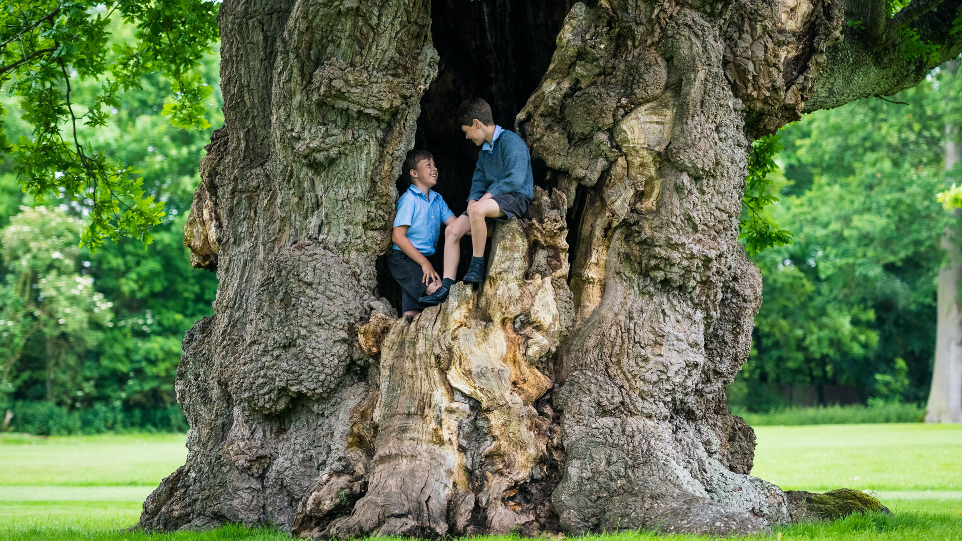 Hazlegrove Preparatory School